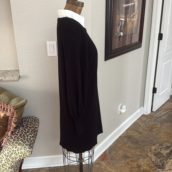 Max Studio Black Sweater Dress Size S - Picture 5 of 7